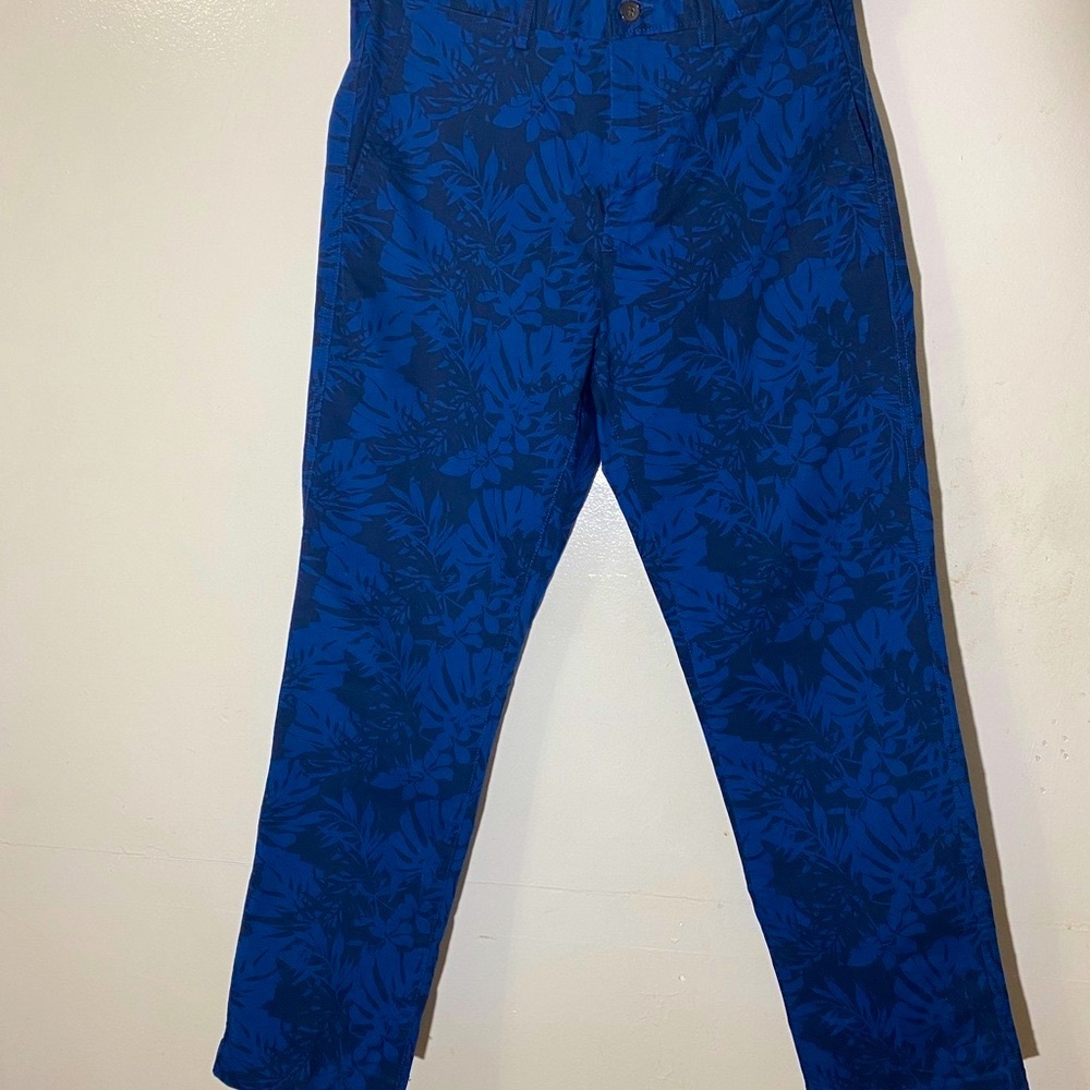 Daniel Cremieux Man’s Pants 34 X 30